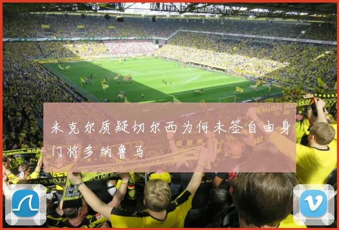 米克尔质疑切尔西为何未签自由身门将多纳鲁马