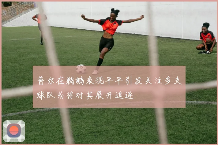 普尔在鹈鹕表现平平引发关注多支球队或将对其展开追逐