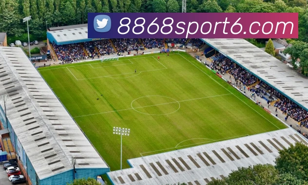 多媒体互动体验